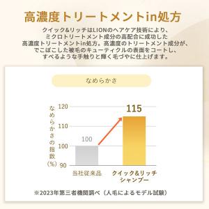 クイック&リッチ 泡トリートメントインシャンプ...の詳細画像1