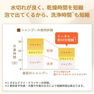 クイック&リッチ 泡トリートメントインシャンプ...の詳細画像2