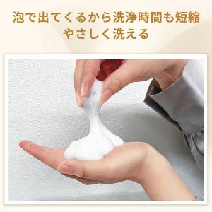 クイック&リッチ 泡トリートメントインシャンプ...の詳細画像3