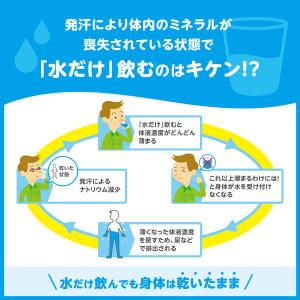 【アウトレット】暑さ対策 塩分チャージ 匠の塩...の詳細画像1