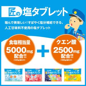 【アウトレット】暑さ対策 塩分チャージ 匠の塩...の詳細画像2