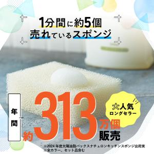 パックスナチュロン キッチンスポンジ 水切れが...の詳細画像2