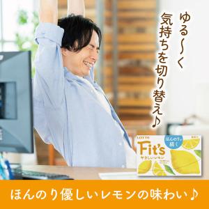 ガム Fits フィッツ やさしいレモン 12...の詳細画像4