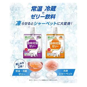 熱中対策ゼリー ぶどう味 1セット(1個(15...の詳細画像3