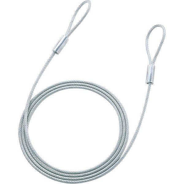 【アウトレット】サンワサプライ eセキュリティ(2.0M4.6mm) SLE-8W-2N 1個
