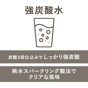 無糖 強炭酸水 500ml ペットボトル ラベ...の詳細画像2