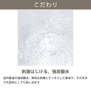 無糖 強炭酸水 500ml ペットボトル ラベ...の詳細画像4