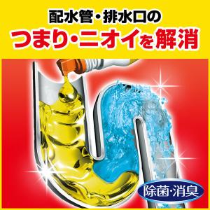 パイプユニッシュ プロ パイプクリーナー 濃縮...の詳細画像3