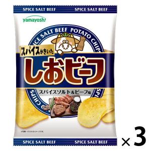 スナック菓子 食べきりサイズ ポテトチップス しおビーフ 1セット（1個×3）