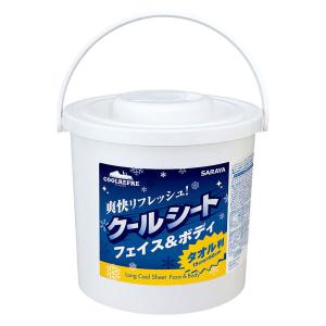 クールシート タオル判 本体 60×15cm 首...の商品画像