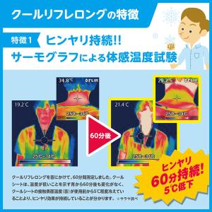 クールシート タオル判 本体 60×15cm ...の詳細画像1