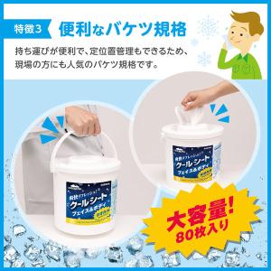 クールシート タオル判 本体 60×15cm ...の詳細画像3