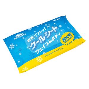 クールシート 携帯用 35×30cm 汗拭きシート ボディ 冷感 冷却 タオル 持ち運び 使い捨て サラヤ 1袋(3枚入)
