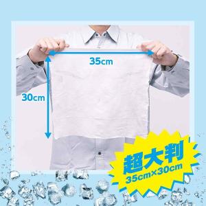 クールシート 携帯用 35×30cm 汗拭きシ...の詳細画像1