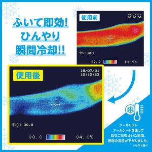 クールシート 携帯用 35×30cm 汗拭きシ...の詳細画像2