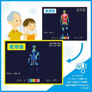 クールシート 携帯用 35×30cm 汗拭きシ...の詳細画像3