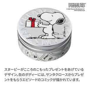 STEAM CREAM(スチームクリーム) あ...の詳細画像3