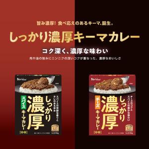 ハウス食品 しっかり濃厚スパイスキーマカレー ...の詳細画像2