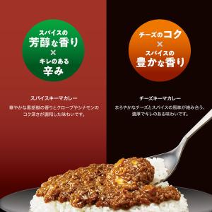 ハウス食品 しっかり濃厚スパイスキーマカレー ...の詳細画像3