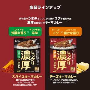 ハウス食品 しっかり濃厚スパイスキーマカレー ...の詳細画像5