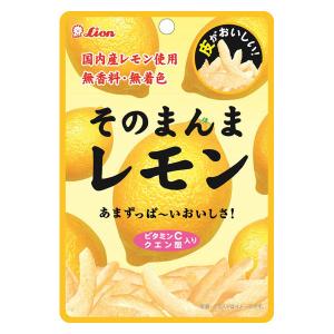 【ワゴンセール】ドライフルール 食べきりサイズ そのまんまレモン 1個