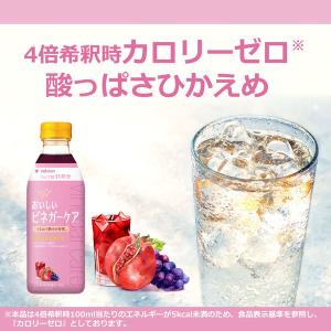 ミツカン おいしいビネガーケア セラミド&ざく...の詳細画像4