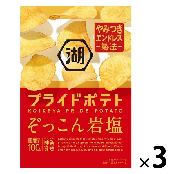 湖池屋プライドポテト ぞっこん岩塩 3袋　ポテトチップス スナック菓子 おつまみ