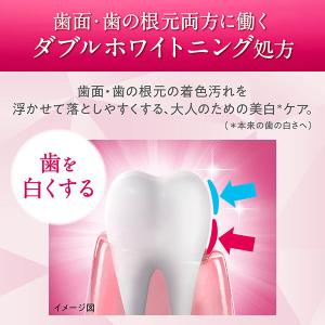 歯磨き粉 ハミガキ ライオン システマハグキプ...の詳細画像3