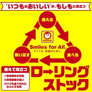 【アウトレット】東洋水産 ホットヌードル NE...の詳細画像4