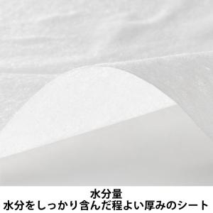 からだふき ウェットタオル【からだふき/ウェッ...の詳細画像4
