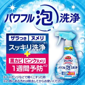 バスマジックリン パワフル泡洗浄 香りが残らな...の詳細画像4