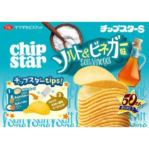 チップスターSソルト&ビネガー味 1個 おつま...の詳細画像3