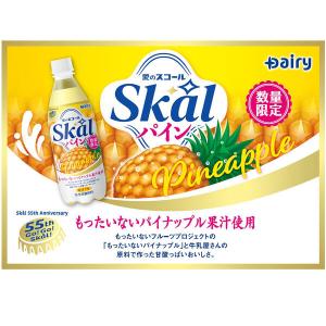 【アウトレット】南日本酪農 スコールパイン 5...の詳細画像3