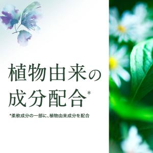 大人のさらさ 洗濯洗剤 液体 ホワイトティー&...の詳細画像4