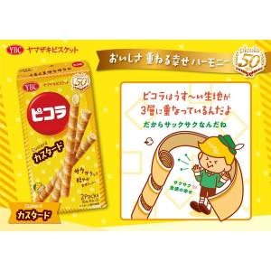 小袋 お配り菓子 ピコラ カスタード 5本×2...の詳細画像4