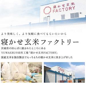寝かせ玄米ごはん もち麦ブレンド160g 12...の詳細画像3