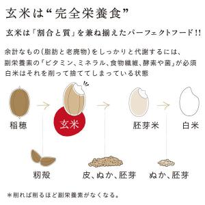 寝かせ玄米ごはん もち麦ブレンド160g 12...の詳細画像5