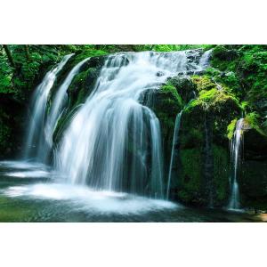 【長期保存水】 嬬恋銘水 7年保存水 2L 1...の詳細画像4