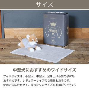 【ロハコ限定】ペットシーツ 炭+クエン酸 ワイ...の詳細画像4