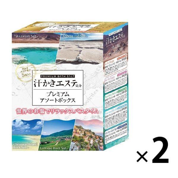 入浴剤 バスソルト 汗かきエステ気分 プレミアムアソート 1セット（45g×5種×2個）マックス