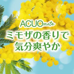 【アウトレット】ロッテ ACUO note<香...の詳細画像2
