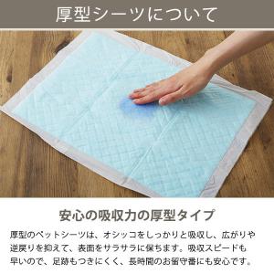 【ロハコ限定】ペットシーツ レギュラー 厚型 ...の詳細画像3