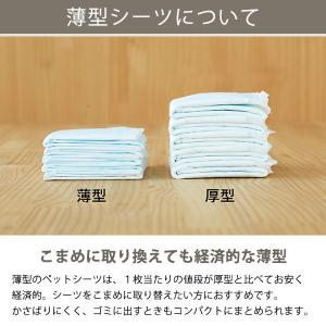【ロハコ限定】ペットシーツ レギュラー 薄型 ...の詳細画像3
