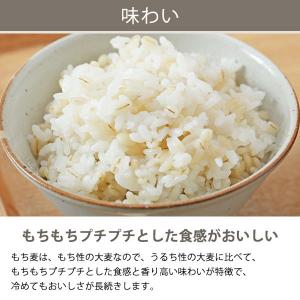 はくばく 食物繊維たっぷり もち麦 800g ...の詳細画像5