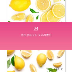 ミューズ 洗うデオドラントせっけん 固形 石け...の詳細画像5