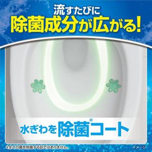 ブルーレットスタンピー 除菌効果プラス つけ替...の詳細画像4