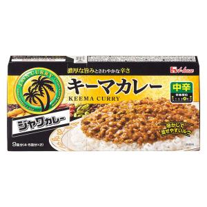 ハウス食品 ジャワカレー キーマカレー 中辛 1個　カレールー 調味料 カレールーの商品画像