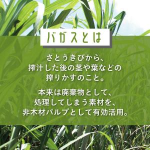 ストリックスデザイン 未晒しバガスモールド フ...の詳細画像4