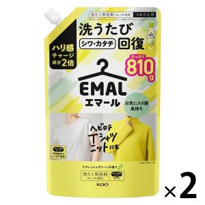 エマール リフレッシュグリーンの香り 詰め替え 810g 1セット（1個×2） 衣料用洗剤 花王