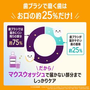 【数量限定】 リステリン オリジナル 強刺激 ...の詳細画像4
